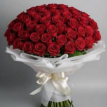 Букет 101 Красная роза Блэк Мэджик в Рассказово