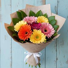 Букет цветов из:  Герберы #REPLACE_PRED# Рассказово