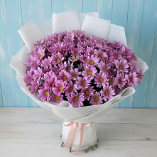 Букет цветов из:  Хризантемы в Рассказово