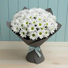 Букет цветов из:  Хризантемы #REPLACE_PRED# Рассказово