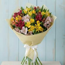 Букет цветов из:  Альстромерии в Рассказово