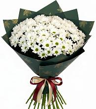 Букет цветов из:  Хризантемы в Рассказово