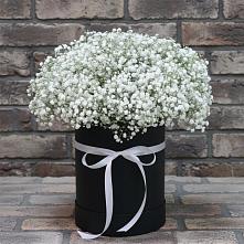 Цветочная композиция из Гипсофила в шляпной коробке в Рассказово