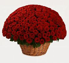 Премиум букет из: Розы в Рассказово