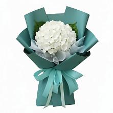Букет цветов из:  Гортензия в Рассказово